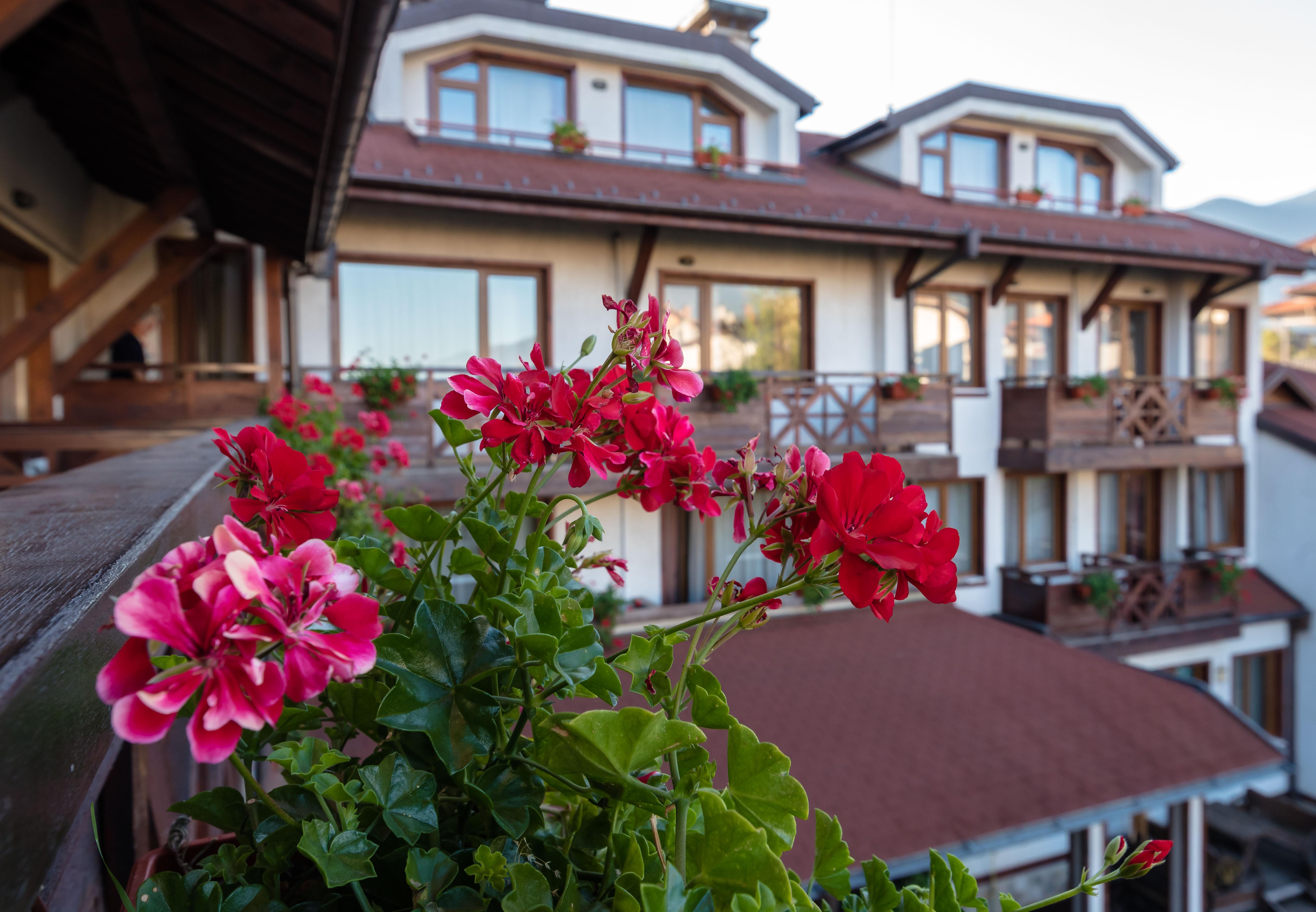 Evelina Palace Hotel Bansko Eksteriør bilde