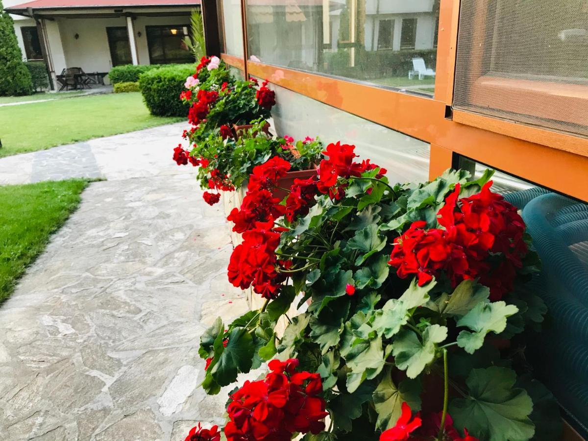 Evelina Palace Hotel Bansko Eksteriør bilde