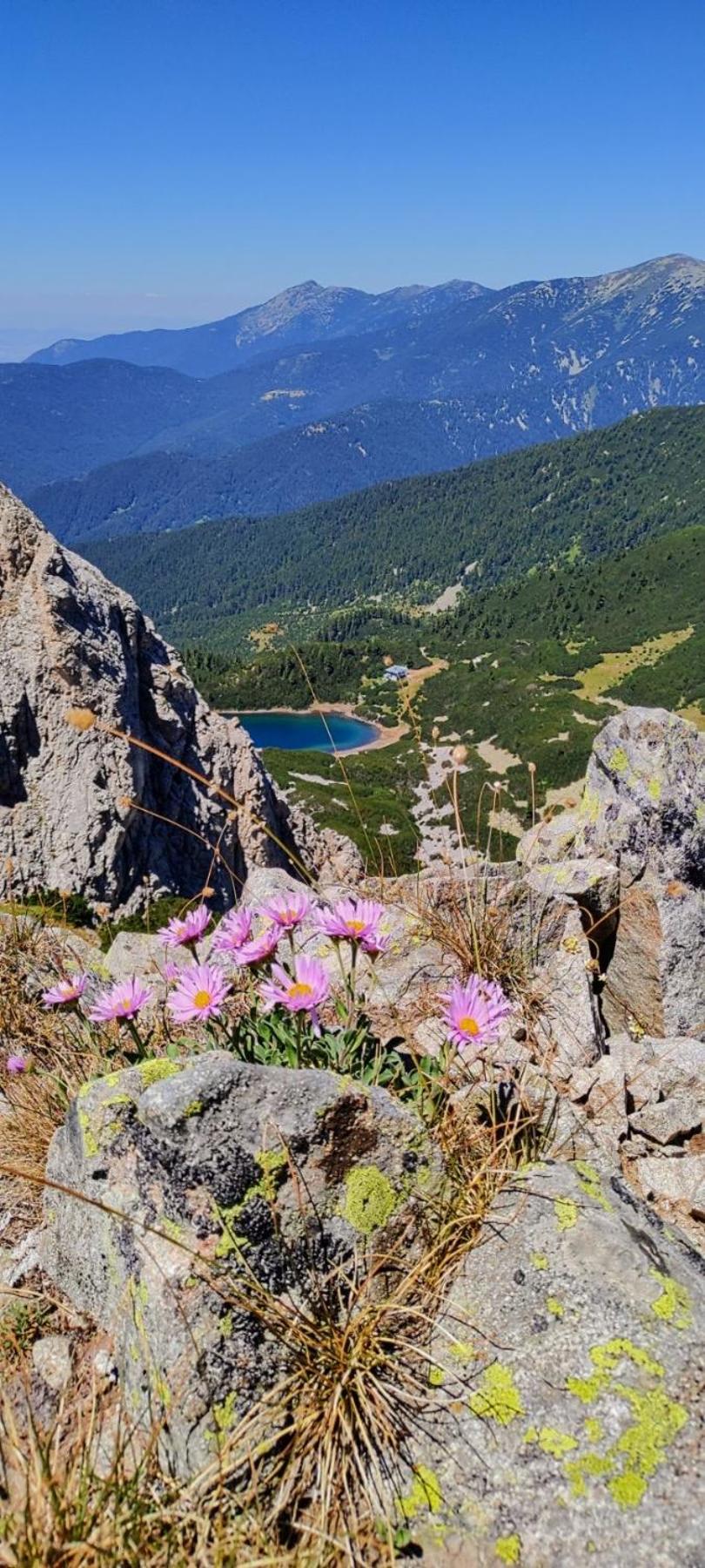 Evelina Palace Hotel Bansko Eksteriør bilde